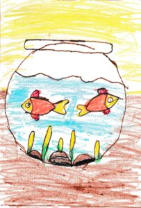 fish pond