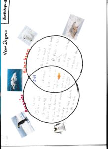 penguins and polar bears venn diagram